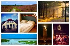 Huisje San Francisco op Terschelling - 东弗利兰