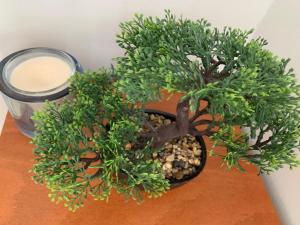 Hajdúszoboszló Toscana Panoráma