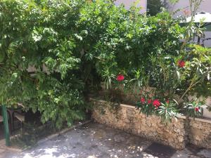 Apartments Marino Gojak