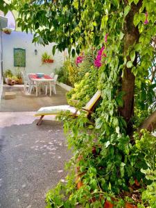 Pátio da Laranjeira