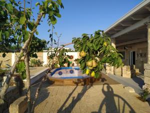 Junior Suite con Terrazza