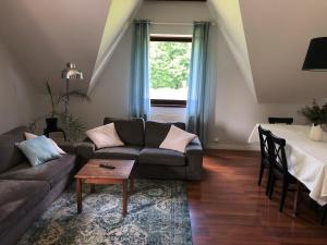 Apartament Olszynka