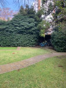 excelete departamento en el centro de Martinez