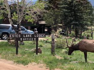 Estes Lake Lodge - Hotéis, Estes Park