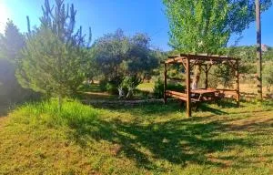 vita campıng otel - Doyran