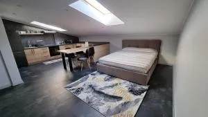 Mansarda - Olʼkhovtsy