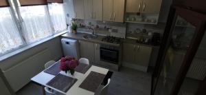 Ana Lux Apartments Brasov