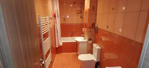 Ana Lux Apartments Brasov