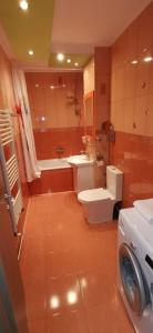Ana Lux Apartments Brasov