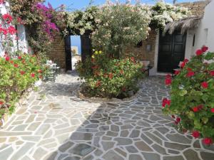 Fanivevisgarden Folegandros Greece