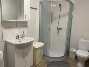 Соколине Гніздо