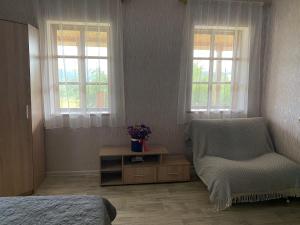 Соколине Гніздо