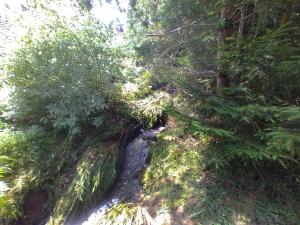 Ferienwohnung am Pochebach