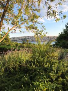 Apartments Maria Rab 