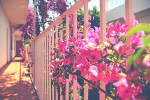 El Penell Apartament Xaloc