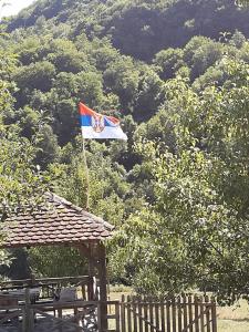 Плави вајат