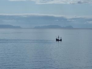 come hear the ocean!