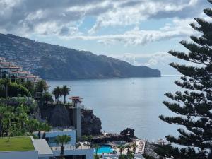 come hear the ocean!