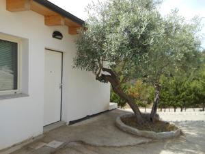 Natur Hotel Tanca img47