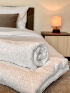 Cozy & Modern 1BR Apart for 4 guests next to Medical University & Free parking