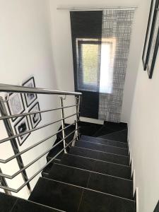 Apartment - Tina Zafron