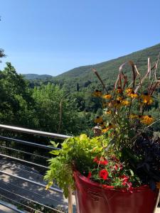 Les clapiers appartement avec jacuzzi et rivière.