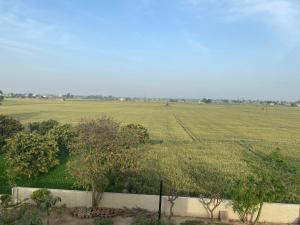 Mango Grove Farm
