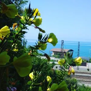 Как дома - Zemo Eshera