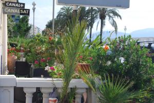 Hotels Hotel Azur : photos des chambres