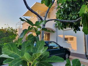 Apartment - Tina Zafron