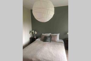 Viihtyisää ja helppoa majoitusta 16