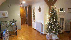 Appartements Les Toits de Turckheim : photos des chambres