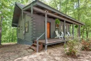 Aunt B's Cabin in the Woods @ The Overlook Cabins - Lampe