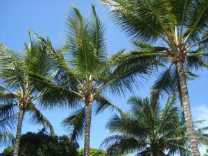 Casa Alegria, Piscina, 10 Hóspedes, 3 Suítes e Churrasqueira