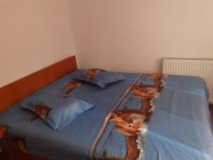 Casa Denisa Vidraru transfgarasan