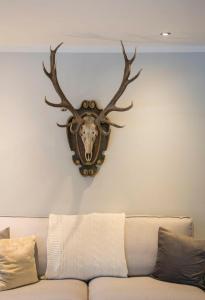 Family Wellhouse Green Garden direct in Salzburg, sunny big garden, up to 16 pax, bikes for free, BBQ, sunbeds, parking for free, 15 min sound of music