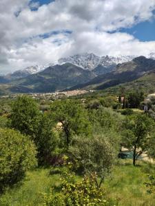 Maisons de vacances Aux pieds des montagnes : photos des chambres