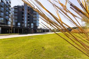 Elija Swan-Toy Apartments 2