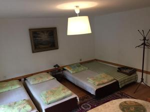 Agropensjonat Tramp z góralskim spa