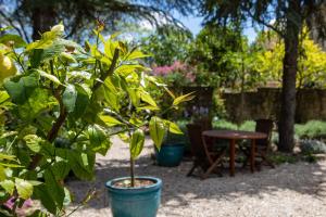 B&B / Chambres d'hotes Le Jardin de Mazan : photos des chambres