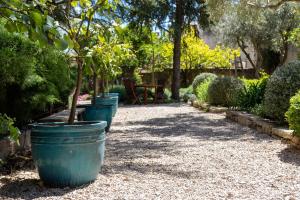 B&B / Chambres d'hotes Le Jardin de Mazan : photos des chambres