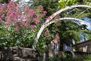 B&B / Chambres d'hotes Le Jardin de Mazan : photos des chambres