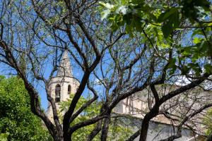 B&B / Chambres d'hotes Le Jardin de Mazan : photos des chambres