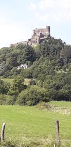 Maisons de vacances La Maison au Coeur de l Auvergne : photos des chambres