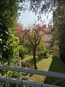 Appartements Villa Soraya , quiet location with big garden near beach and old town of NICE : photos des chambres
