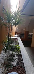 Atlantico Flat Ap. 107