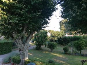 Notre campagne provençale