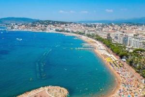 Cosy apartment 39M2, two steps from rue dAntibes and Croisette