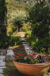 Dimoulitsa Villas Complex