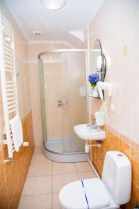Standard Double or Twin Room room in Zolota Pava